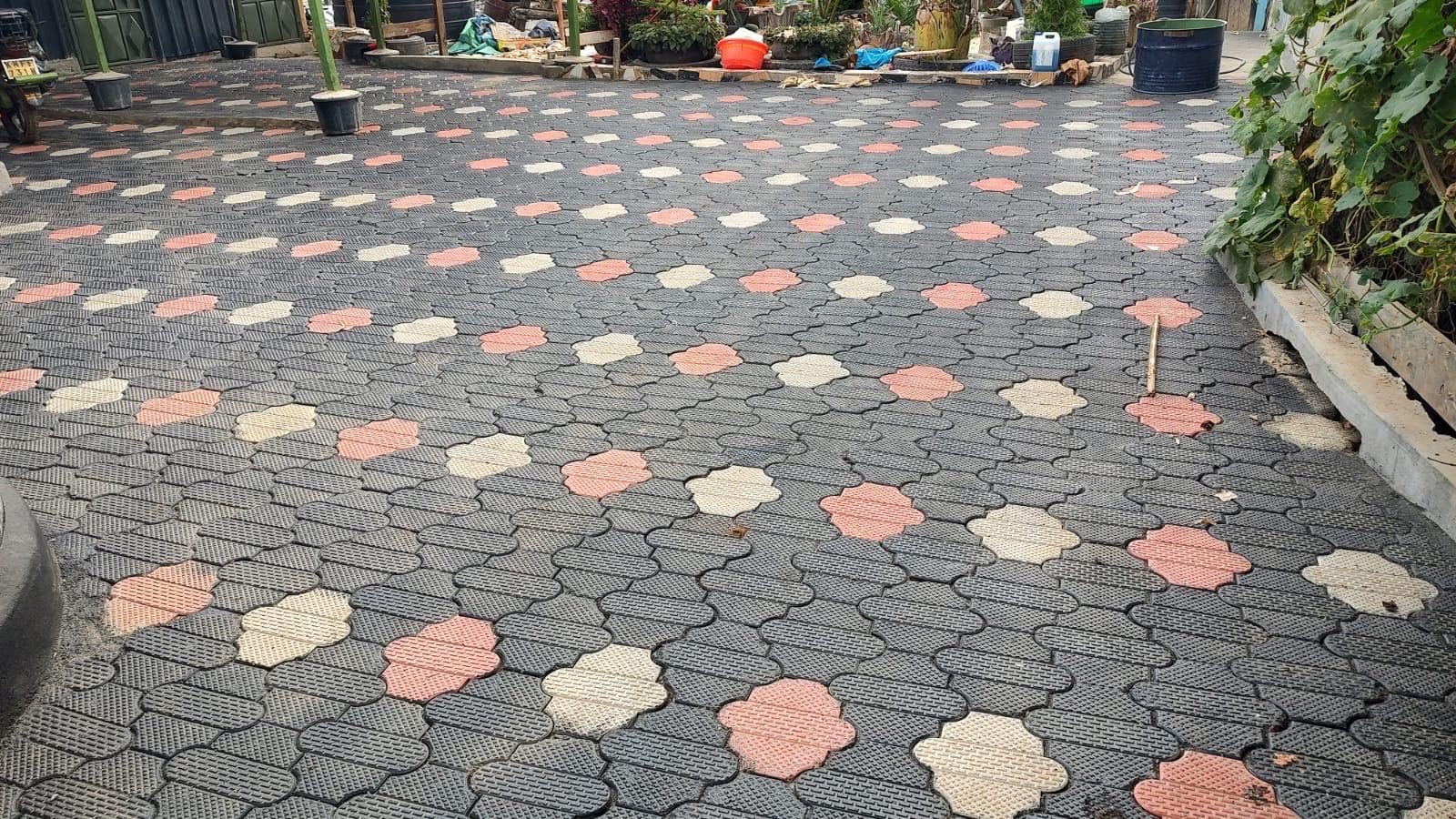 Patterned cabro driveway